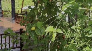 Monika Fox In Blue Bikini Swims In Pool In Paradise Place